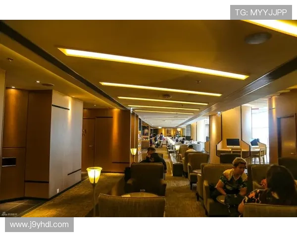 ag贵宾厅官网全面介绍贵宾厅的服务项目与特色体验